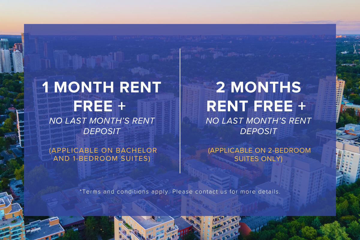 Limited Time Offer!