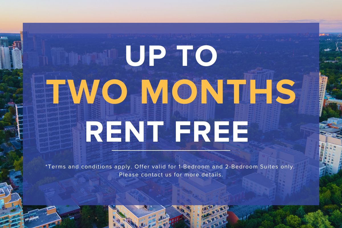 Limited Time Offer!