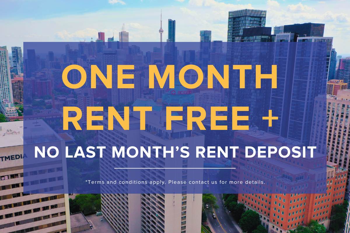 Limited Time Offer!